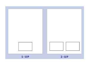 Integrated Paper Member Cards - Blank Stock